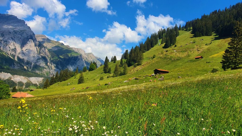 Hiking along lake Oeschinensee