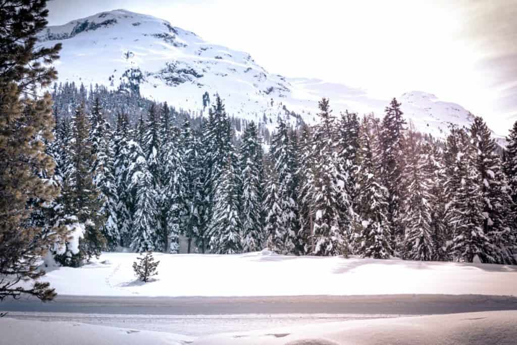 Frozen lake St Moritz